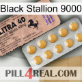 Black Stallion 9000 41